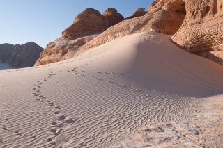 Discovering silence in Sinai